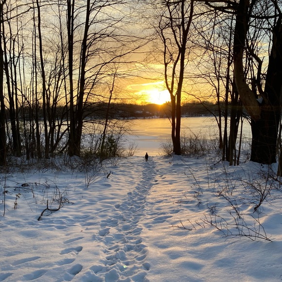 Meet your Posher, Sandra - Picture 1 of 1